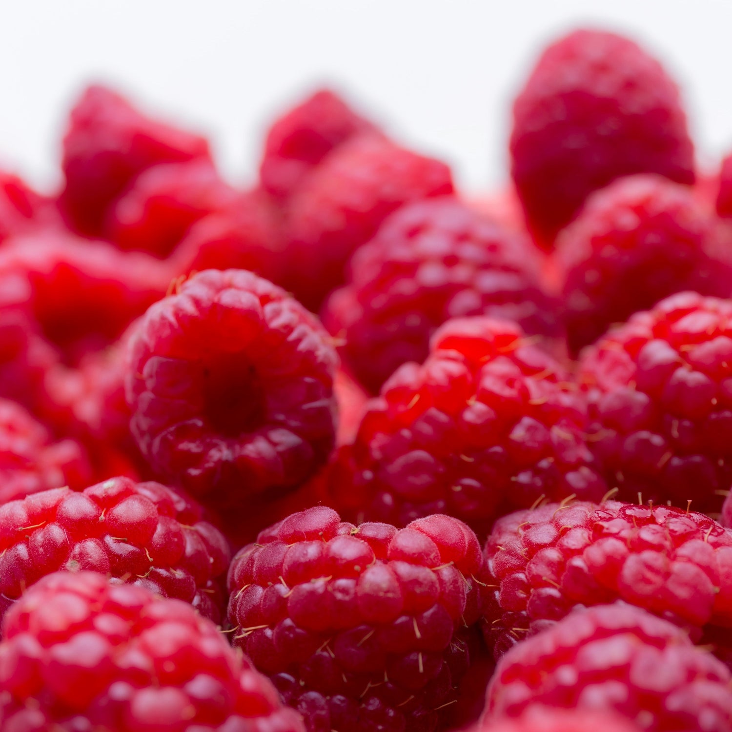Raspberry U-Pick