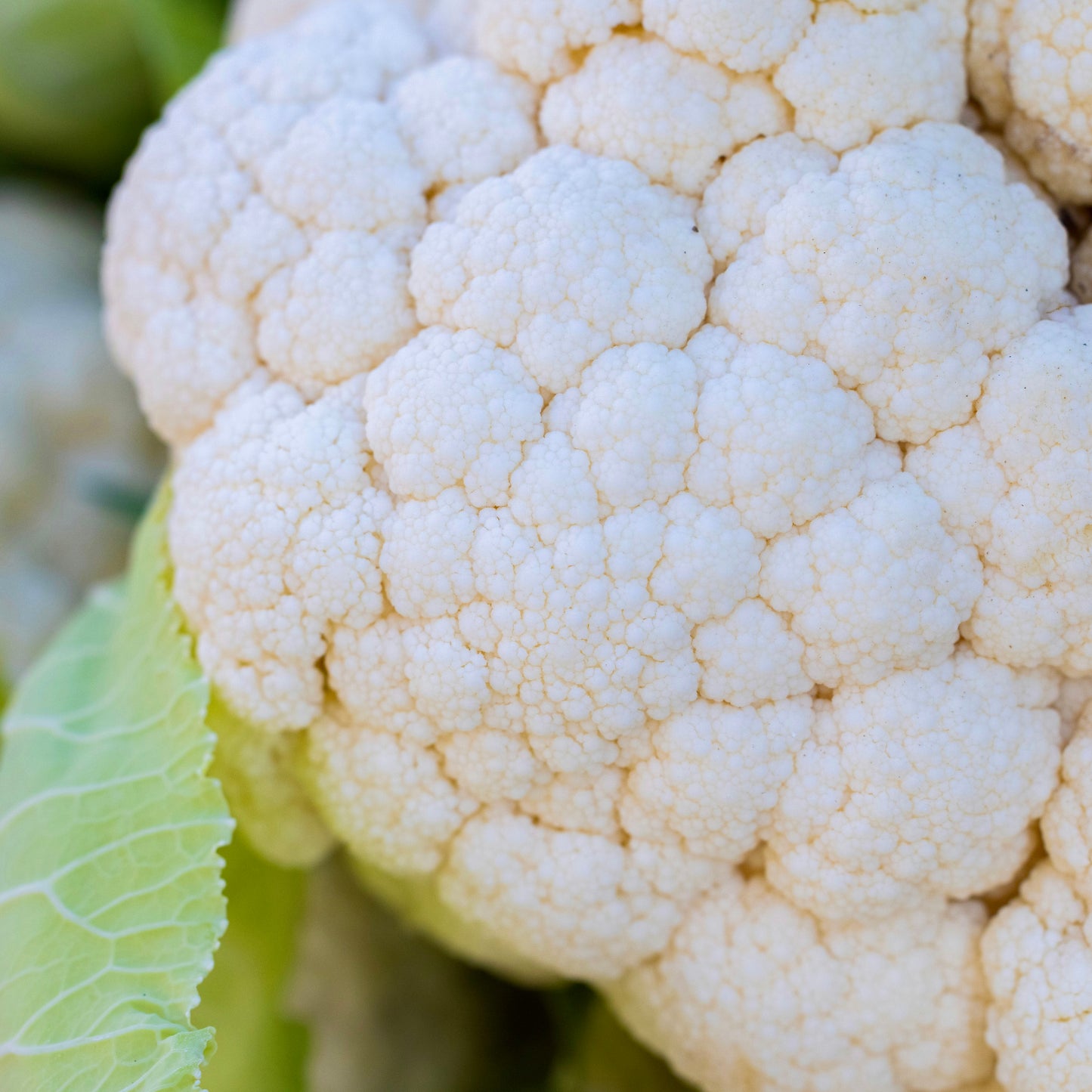 Cauliflower