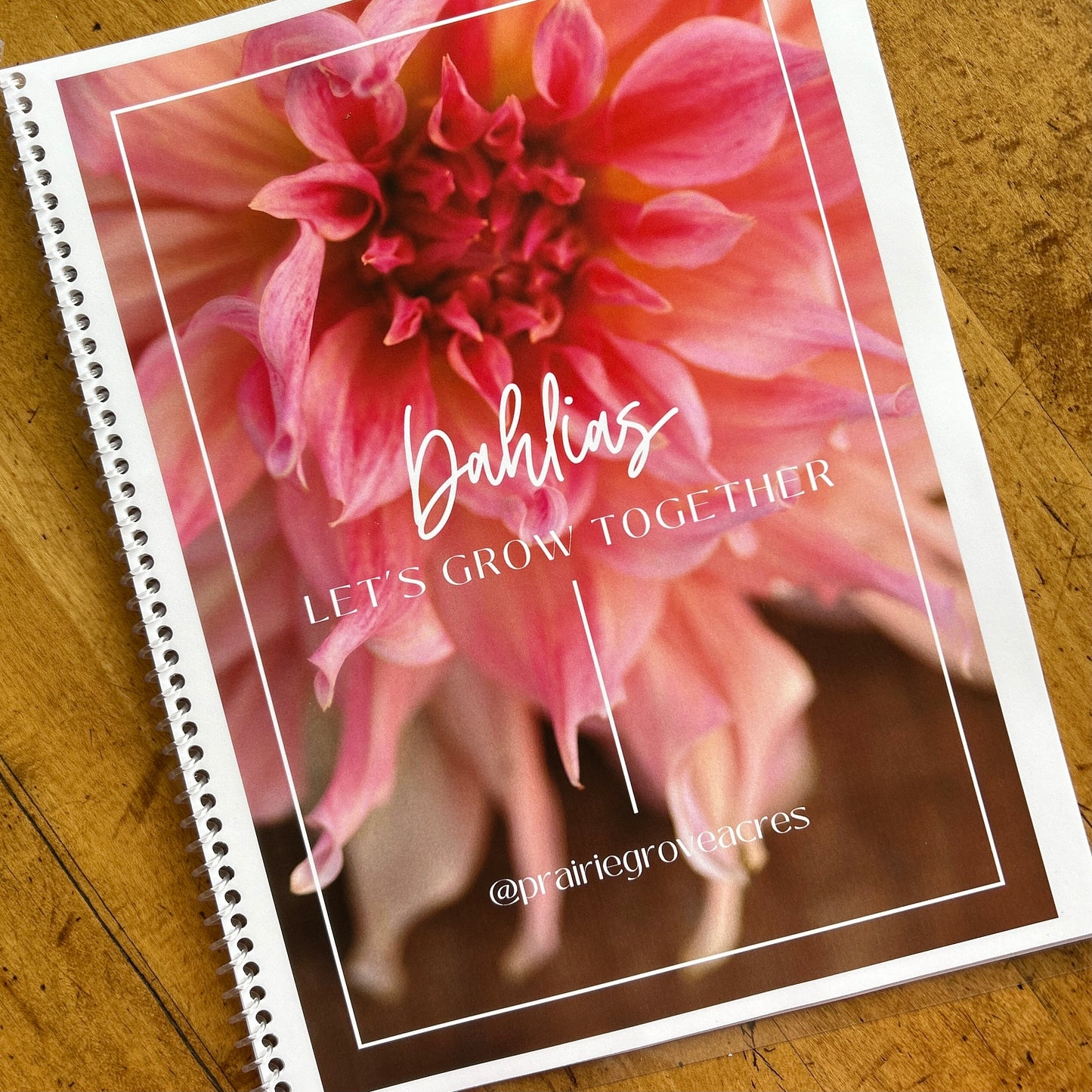 DAHLIAS - Let’s Grow Together