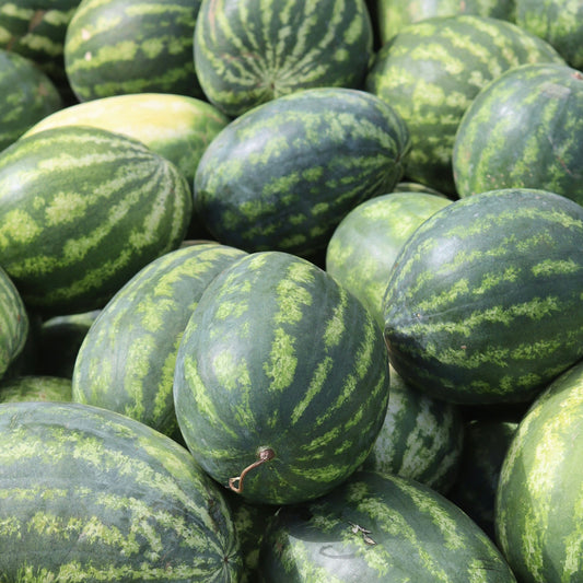 Watermelon