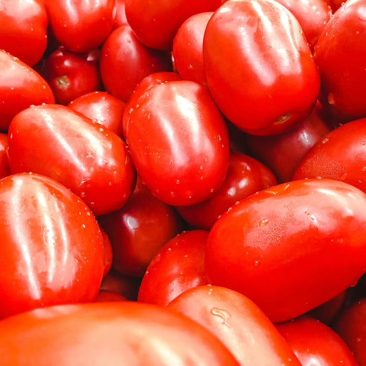 Tomato ~ San Marzano Roma (Single)